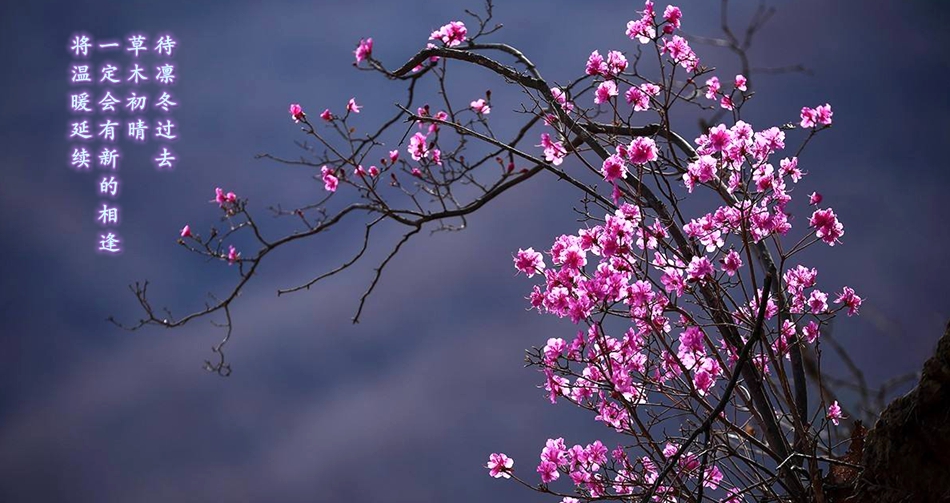 福鹿会·(中国F6)官网-给您最着实的优惠